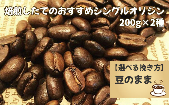 焙煎したてのおすすめシングルオリジン 200g×2種（豆）