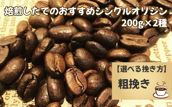 焙煎したてのおすすめシングルオリジン 200g×2種（粗挽き）