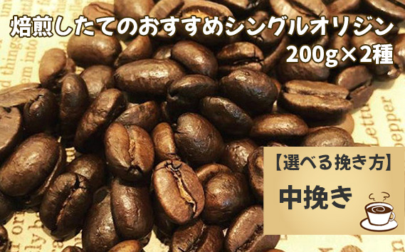 焙煎したてのおすすめシングルオリジン 200g×2種（中挽き）