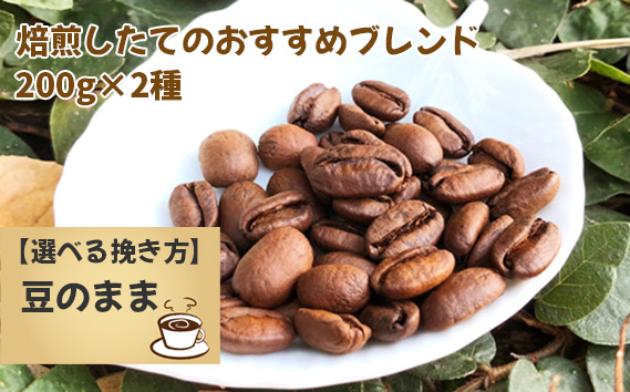 焙煎したてのおすすめブレンド 200g×2種（豆）