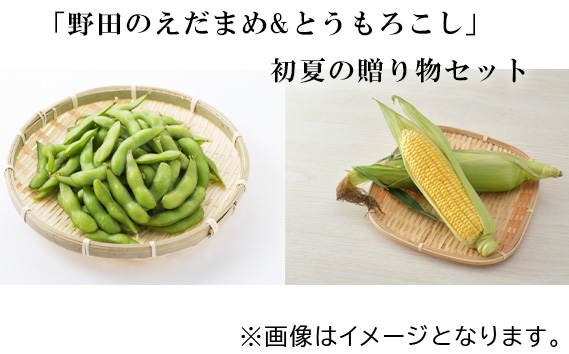 「野田のえだまめ&とうもろこし」初夏の贈り物セット