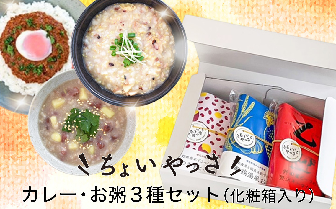 カレー・お粥3種類セット