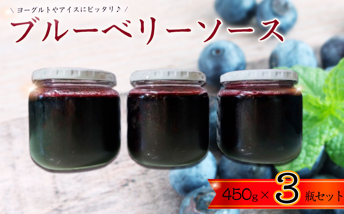 ブルーベリーソース3瓶セット