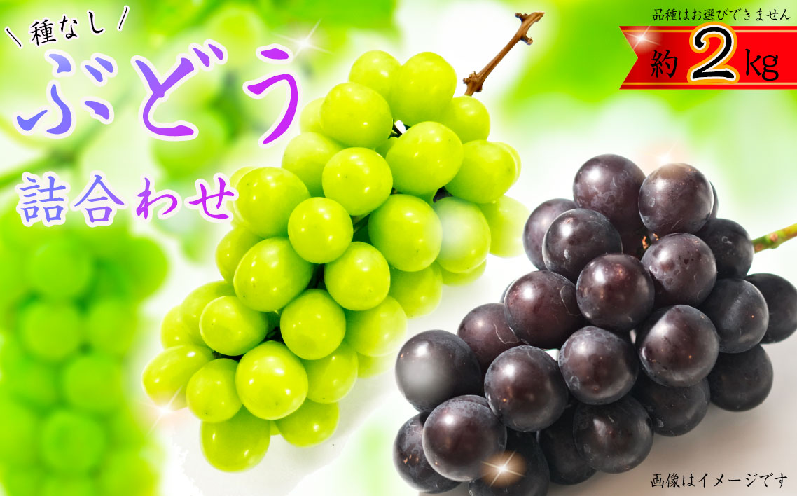 ぶどう詰合わせ約2kg