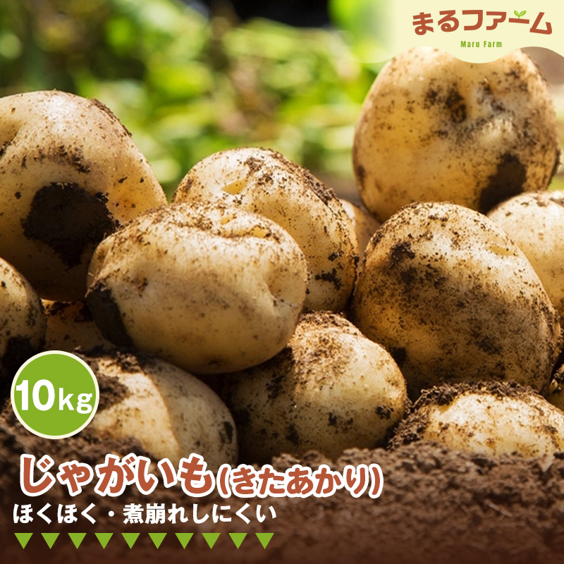 ジャガイモ（きたあかり） 10kg
