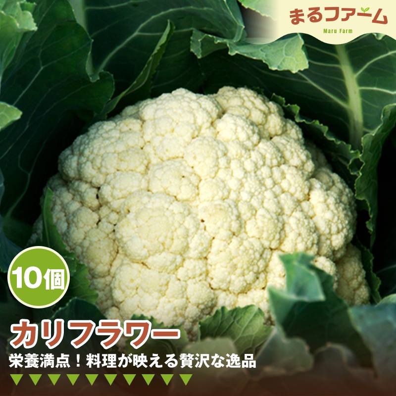 カリフラワー　10コ