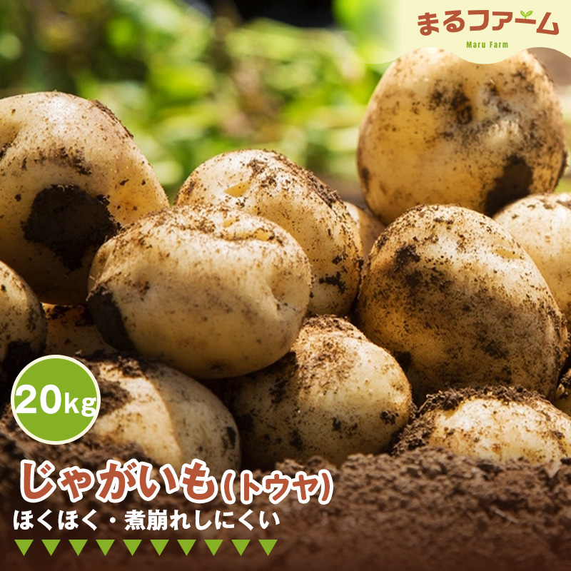ジャガイモ（トウヤ） 20kg