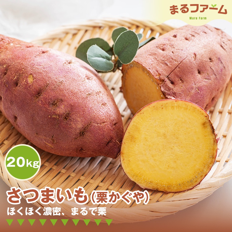 サツマイモ（栗かぐや） 20kg