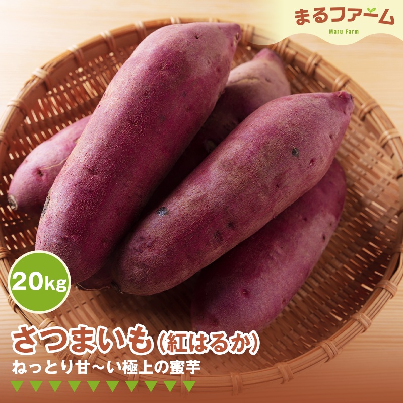 サツマイモ（紅はるか） 20kg