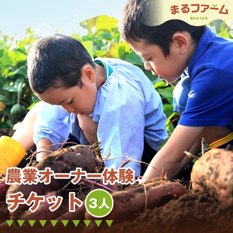 農業オーナー体験（3人分）