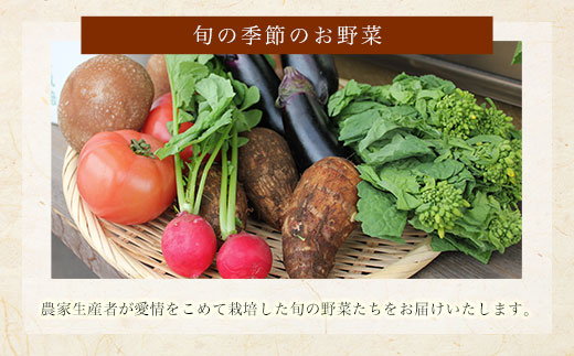 季節の野菜・農産物セット　お米付き(精米・2kg)　ふるさと納税 野菜 野菜詰合せ 季節 お米 米 千葉県 茂原市 MBAE001