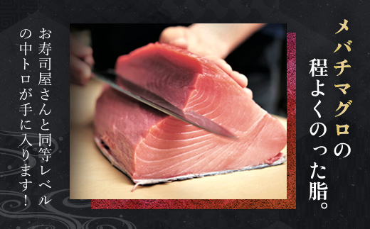 メバチマグロ 中トロ 600g(冷凍・サク) MBT001 / マグロ メバチマグロ 中トロ マグロ メバチマグロ 中トロ マグロ メバチマグロ 中トロ マグロ メバチマグロ 中トロ マグロ メバチマグロ 中トロ マグロ メバチマグロ 中トロ マグロ メバチマグロ 中トロ マグロ メバチマグロ 中トロ マグロ メバチマグロ 中トロ マグロ メバチマグロ 中トロ マグロ メバチマグロ 中トロ