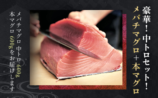 豪華!中トロセット!マグロ 中トロセット  (本マグロ600g+メバチマグロ600g) / マグロ 本マグロ メバチマグロ 中トロ マグロ 本マグロ メバチマグロ 中トロ マグロ 本マグロ メバチマグロ 中トロ マグロ 本マグロ メバチマグロ 中トロ マグロ 本マグロ メバチマグロ 中トロ マグロ 本マグロ メバチマグロ 中トロ マグロ 本マグロ メバチマグロ 中トロ マグロ 本マグロ メバチマグロ 中トロ