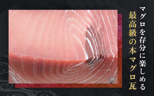 本マグロ 瓦1枚　3.5kg以上 MBT005 / 本マグロ マグロ 瓦 本マグロ マグロ 瓦 本マグロ マグロ 瓦 本マグロ マグロ 瓦 本マグロ マグロ 瓦 本マグロ マグロ 瓦 本マグロ マグロ 瓦 本マグロ マグロ 瓦 本マグロ マグロ 瓦 本マグロ マグロ 瓦 本マグロ マグロ 瓦 本マグロ マグロ 瓦 本マグロ マグロ 瓦 本マグロ マグロ 瓦 本マグロ マグロ 瓦 本マグロ マグロ
