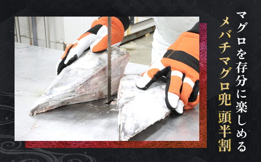 メバチマグロ 兜　頭半割 1個分 MBT006 / メバチマグロ 兜 メバチマグロ 兜 メバチマグロ 兜 メバチマグロ 兜 メバチマグロ 兜 メバチマグロ 兜 メバチマグロ 兜 メバチマグロ 兜 メバチマグロ 兜 メバチマグロ 兜 メバチマグロ 兜 メバチマグロ 兜 メバチマグロ 兜 メバチマグロ 兜 メバチマグロ 兜 メバチマグロ 兜 メバチマグロ 兜 メバチマグロ 兜 メバチマグロ 兜