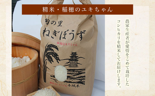 季節の野菜・農産物セット　お米付き(精米・2kg)　ふるさと納税 野菜 野菜詰合せ 季節 お米 米 千葉県 茂原市 MBAE001