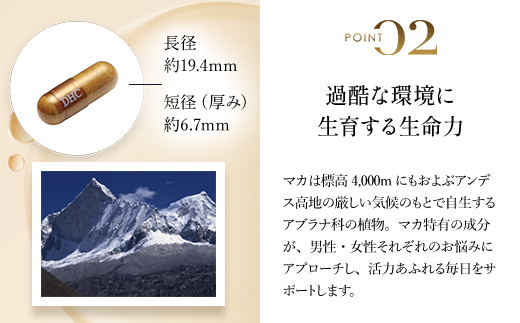 75909_DHC マカ 30日分 2個セット（60日分）／ 健康 サプリ サプリメント マカ パワー 生命力 活力 男性 女性 年齢 DHC ディーエイチシー 千葉県 茂原市 MBB024