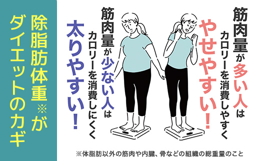 76023_DHCフォースコリー 30日分 3個セット（90日分） ／ 健康 サプリ サプリメント ダイエット 除脂肪体重 メリハリ スタイルキープ ハーブ 植物由来 コレウス・フォルスコリーエキス ビタミンB1 B2 B6 DHC ディーエイチシー 千葉県 茂原市 MBB031