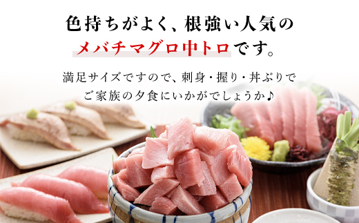 メバチマグロ 中トロ 600g(冷凍・サク) MBT001 / マグロ メバチマグロ 中トロ マグロ メバチマグロ 中トロ マグロ メバチマグロ 中トロ マグロ メバチマグロ 中トロ マグロ メバチマグロ 中トロ マグロ メバチマグロ 中トロ マグロ メバチマグロ 中トロ マグロ メバチマグロ 中トロ マグロ メバチマグロ 中トロ マグロ メバチマグロ 中トロ マグロ メバチマグロ 中トロ