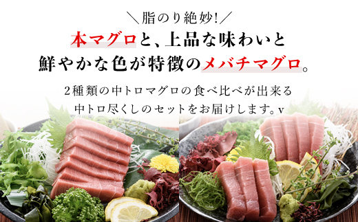 豪華!中トロセット!マグロ 中トロセット  (本マグロ600g+メバチマグロ600g) / マグロ 本マグロ メバチマグロ 中トロ マグロ 本マグロ メバチマグロ 中トロ マグロ 本マグロ メバチマグロ 中トロ マグロ 本マグロ メバチマグロ 中トロ マグロ 本マグロ メバチマグロ 中トロ マグロ 本マグロ メバチマグロ 中トロ マグロ 本マグロ メバチマグロ 中トロ マグロ 本マグロ メバチマグロ 中トロ
