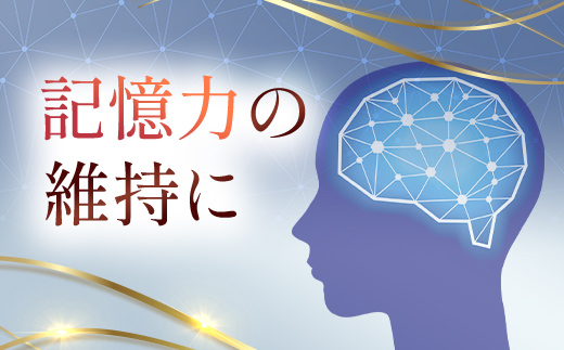 75911_【機能性表示食品】DHCイチョウ葉脳内α(アルファ) 30日分 4個セット（120日分）／ 健康 サプリ サプリメント イチョウ葉 脳内α イチョウ葉由来フラボノイド配糖体 イチョウ葉由来テルペンラクトン 認知機能 記憶力 維持 DHC ディーエイチシー 千葉県 茂原市 MBB026