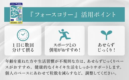 76023_DHCフォースコリー 30日分 3個セット（90日分） ／ 健康 サプリ サプリメント ダイエット 除脂肪体重 メリハリ スタイルキープ ハーブ 植物由来 コレウス・フォルスコリーエキス ビタミンB1 B2 B6 DHC ディーエイチシー 千葉県 茂原市 MBB031