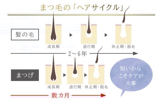 66458_DHCスリー イン ワン アイラッシュ セラム（まつ毛・まぶた用美容液）／ 美容 基礎化粧品 美容液 まつ毛 睫毛 まつ毛 目元 めもと ケア まぶた 瞼 エイジングケア マスカラ下地 ボリューム ハリ ツヤ DHC ディーエイチシー 千葉県 茂原市 MBB045