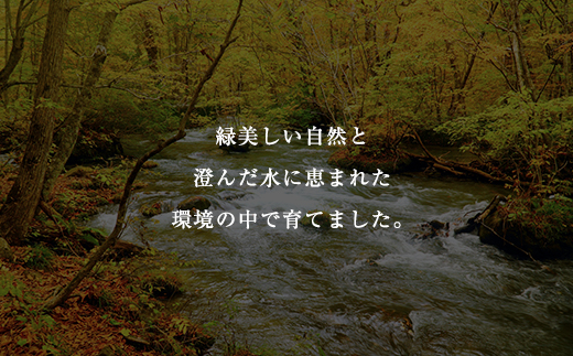 千葉県産　錦爽鶏　三味漬けセット／ ふるさと納税 錦爽鶏 鶏 鶏肉 地鶏 銘柄鶏 照り焼き 柚子 山椒 コンテスト 最優秀賞 千葉県 山武市 MBX002