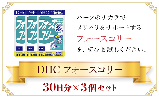 76023_DHCフォースコリー 30日分 3個セット（90日分） ／ 健康 サプリ サプリメント ダイエット 除脂肪体重 メリハリ スタイルキープ ハーブ 植物由来 コレウス・フォルスコリーエキス ビタミンB1 B2 B6 DHC ディーエイチシー 千葉県 茂原市 MBB031