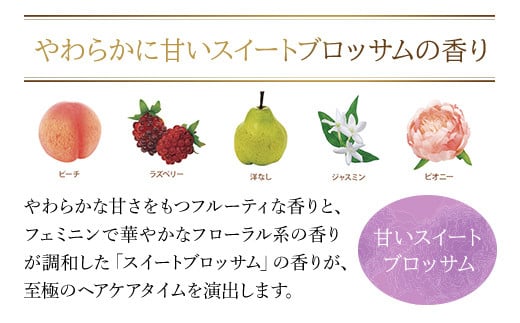 66476_DHCしっとりうるおうシャンプーEX＆コンディショナーEX 詰め替え用セット／ 美容 ヘアケア ダメージケア シャンプー コンディショナー 詰め替え アミノ酸系洗浄成分 オリーブバージンオイル配合 しっとり 保湿 うるおう DHC ディーエイチシー 千葉県 茂原市 MBB051