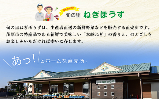 茂原市本納産のネギをふんだんに使用した35g『葱ッペ餃子』　10個入り×3袋 / ふるさと納税 ネギ 餃子 ぎょうざ ギフト 贈答 茂原市 MBE001