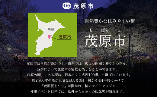 手作りキムチ3種詰め合わせ MBM001