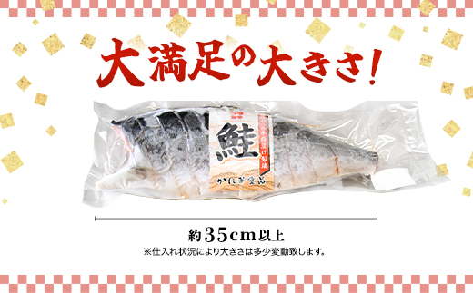 銀鮭　定塩　姿切身(半身/約1kg) MBS006