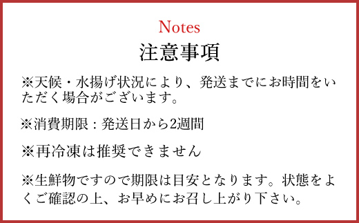 メバチマグロ 兜　頭半割 1個分 MBT006 / メバチマグロ 兜 メバチマグロ 兜 メバチマグロ 兜 メバチマグロ 兜 メバチマグロ 兜 メバチマグロ 兜 メバチマグロ 兜 メバチマグロ 兜 メバチマグロ 兜 メバチマグロ 兜 メバチマグロ 兜 メバチマグロ 兜 メバチマグロ 兜 メバチマグロ 兜 メバチマグロ 兜 メバチマグロ 兜 メバチマグロ 兜 メバチマグロ 兜 メバチマグロ 兜