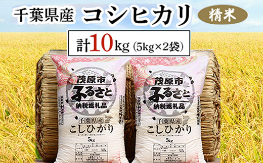 令和7年産 千葉県産コシヒカリ 精米 10kg(5kg×2袋) MBAD001