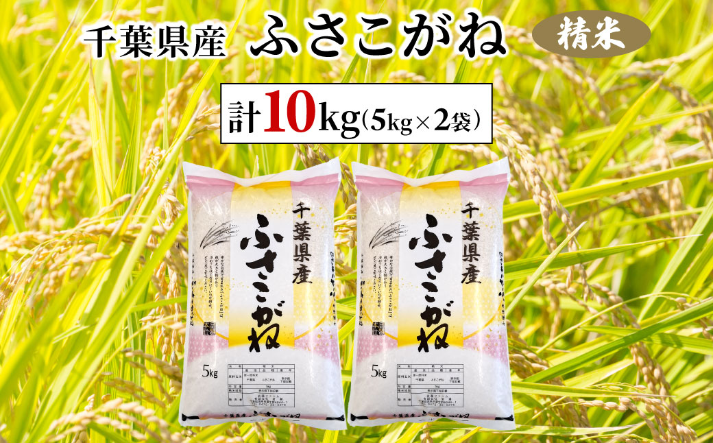 令和7年産 千葉県産ふさこがね 精米 10kg(5kg×2袋) ふるさと納税 ふさこがね 米 精米 こめ 千葉県 茂原市 MBAD004