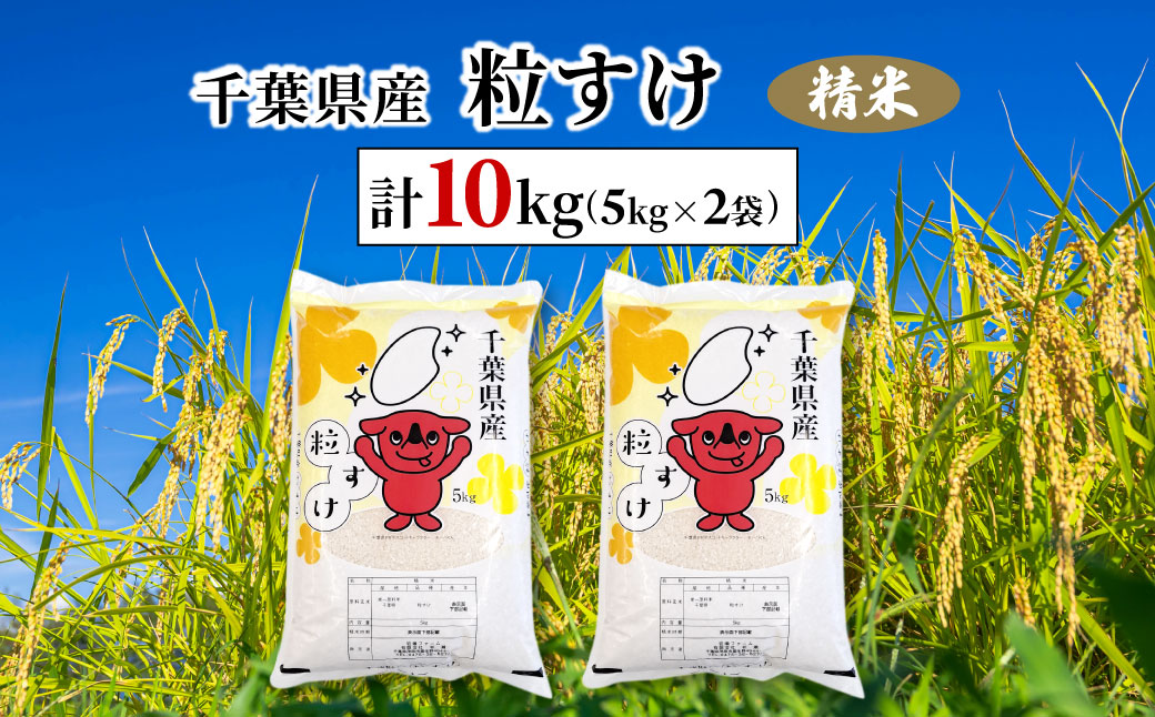 令和7年産　千葉県産粒すけ 精米 10kg(5kg×2袋) ふるさと納税 粒すけ 米 精米 こめ 千葉県 茂原市 MBAD007