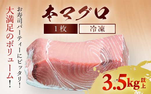 本マグロ 瓦1枚　3.5kg以上 MBT005 / 本マグロ マグロ 瓦 本マグロ マグロ 瓦 本マグロ マグロ 瓦 本マグロ マグロ 瓦 本マグロ マグロ 瓦 本マグロ マグロ 瓦 本マグロ マグロ 瓦 本マグロ マグロ 瓦 本マグロ マグロ 瓦 本マグロ マグロ 瓦 本マグロ マグロ 瓦 本マグロ マグロ 瓦 本マグロ マグロ 瓦 本マグロ マグロ 瓦 本マグロ マグロ 瓦 本マグロ マグロ