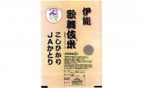 【令和7年度産】伊能歌舞伎米　こしひかり お米 コシヒカリ 5kg