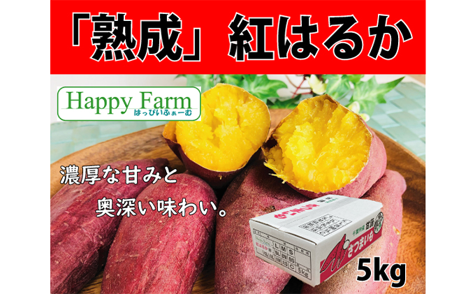 成熟　紅はるか　さつまいも（L) 5キロ