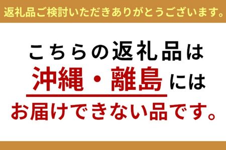 ジェラート 濃い!小さなブルーベリー農園のご褒美ジェラート ブルーベリー アイス ミルク 濃厚 セット スイーツ デザート 冷凍 ご褒美 ギフト プレゼント 贈り物 お取り寄せ 成田市 千葉県