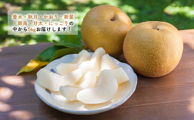 お楽しみBOX おすすめの梨をお届け 梨 7種の中からお任せ セット 詰め合わせ 豊水 秋月 かおり 新星 新高 甘太 にっこり なし ナシ 和梨 果物 くだもの フルーツ 旬のフルーツ 旬の果物 デザート 千葉 千葉県 成田市