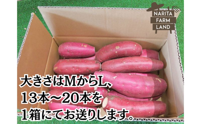 成田市産　さつまいも（紅はるか）