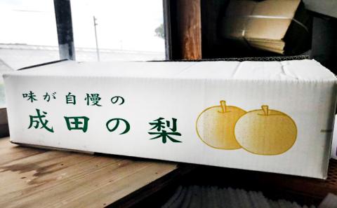 梨 先行予約 新高 5～8玉 なし ナシ 和梨 果物 くだもの フルーツ 旬のフルーツ 旬の果物 デザート 千葉 千葉県 成田市