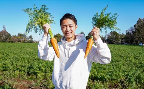 野菜ジュース 冷凍にんじんジュース 完全無添加　【 野菜 ジュース ドリンク 健康食 にんじん 根菜 人参 無添加 】