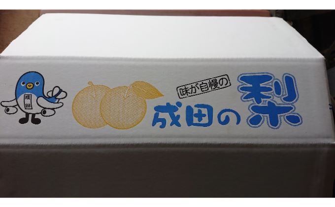 【日時指定不可】梨（幸水または豊水）5kg ナシ 果物 フルーツ 先行予約