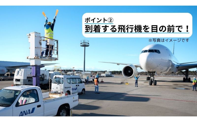 【9月8日(日)開催！】ANA限定　成田国際空港グラハンツアー（2名様プラン）グランドハンドリング グラハン ANA限定返礼品 体験チケット 飛行機 ANA 成田国際空港 成田 空港 エアポート 業務体験