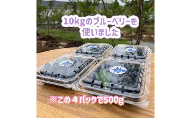 ジェラート 濃い!小さなブルーベリー農園のご褒美ジェラート ブルーベリー アイス ミルク 濃厚 セット スイーツ デザート 冷凍 ご褒美 ギフト プレゼント 贈り物 お取り寄せ 成田市 千葉県