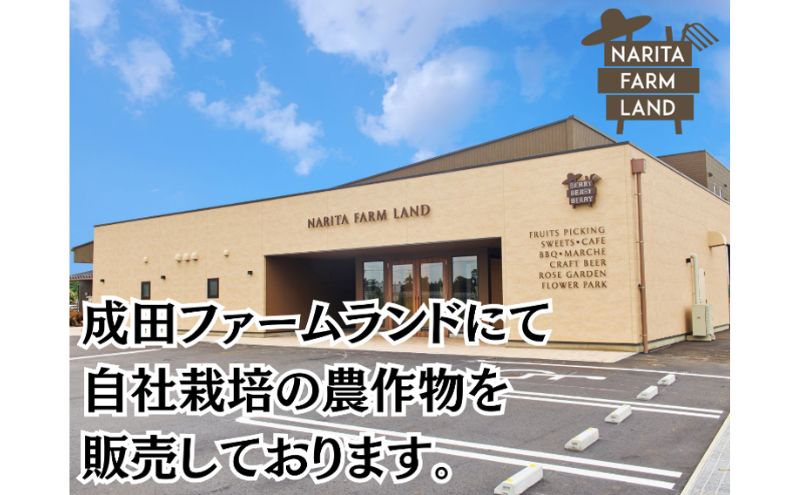 成田市産　さつまいも（紅はるか）