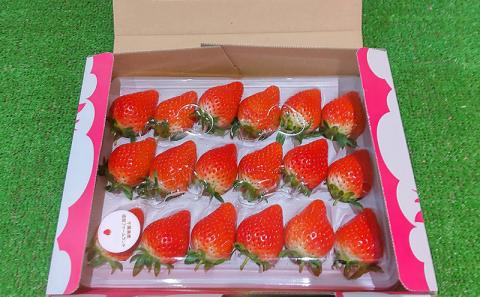 秀じいのいちご（とちおとめ）2箱（1kg）